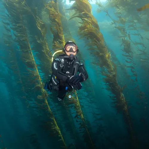 Vista 5 de SCUBAPRO Nivel Super Cinch delantero ajustable buceo BCD para buceo recreativo