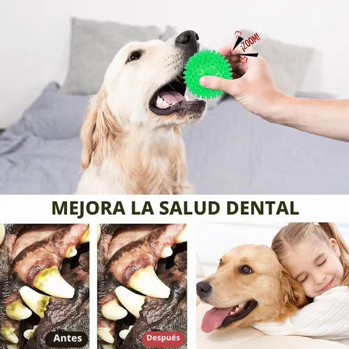 Vista 4 de petizer Paquete de 3 bolas chirriantes de juguete para perros de 2.5 pulgadas, bolas flotantes para perros, bolas de agua para perros, juguetes