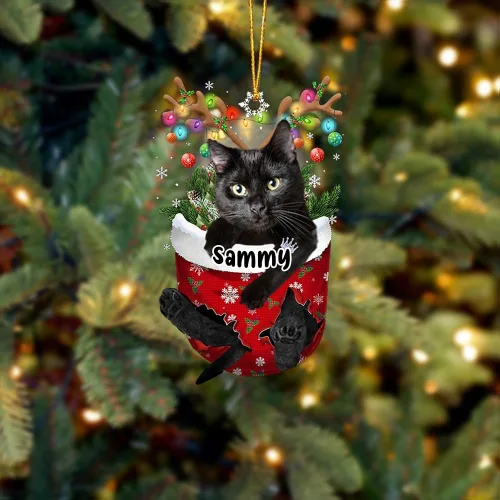 Vista 30 de Adorno personalizado de gato de rizo americano, adorno personalizado con nombre de mascota, colgante acrílico plano impreso en 2D, Papá Noel y gato