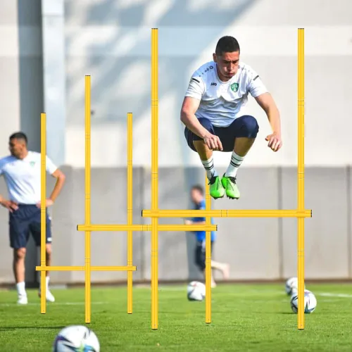 Vista 7 de Equipo de entrenamiento de bastones de agilidad: incluye 6 postes de agilidad, 6 obstáculos de salto, escalera de agilidad, 12 conos de fútbol, 1