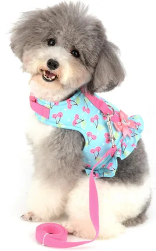 Vista 9 de SMALLLEE_LUCKY_STORE Vestido de arnés con lazo para perros pequeños, negro, XS Water-Resistant, Adjustable Fit, Padded, Escape-proof, Outdoor