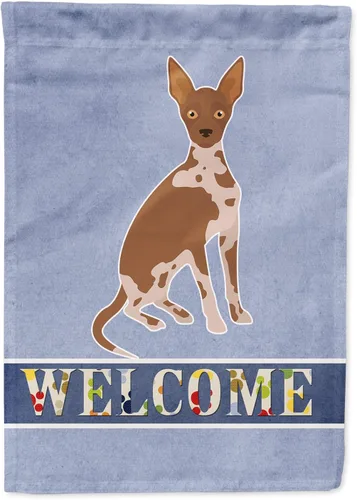 Vista 96 de Caroline's Treasures CK3645GF Bandera de bienvenida de bulldog inglés para jardín, bandera decorativa para patio exterior, obras de arte de patio