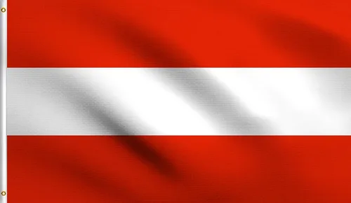 Vista 127 de DMSE - Bandera nacional beninesa beninesa de la República de África Occidental, 2 x 3 pies, 100 % poliéster, 100 % poliéster, resistente a los rayos