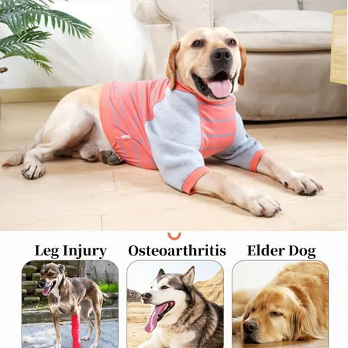 Vista 7 de Protector de codo de perro para callos, camisa de protección posoperatoria, ropa de traje de recuperación quirúrgica, tirantes de pierna delantera