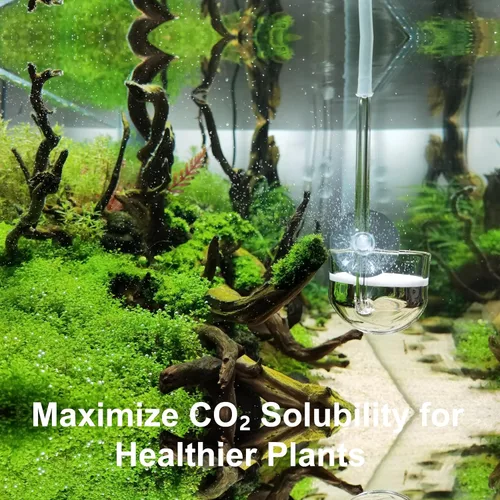 Vista 9 de Difusor de CO2 de vidrio musical para plantas de acuario (2 pulgadas para tanque más allá de 75 galones)