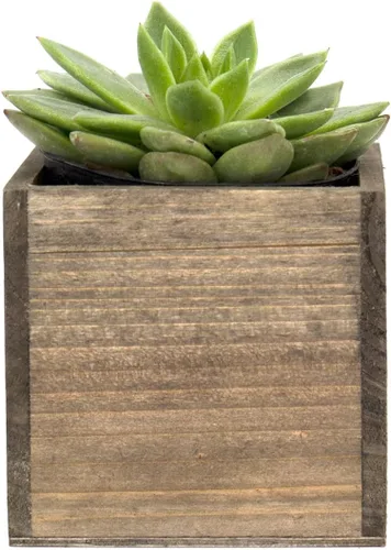 Vista 5 de CYS EXCEL Maceta de cubo con forro de plástico extraíble (4 x 4 x 4 pulgadas) (4 unidades) Múltiples opciones de tamaño para macetas cuadradas