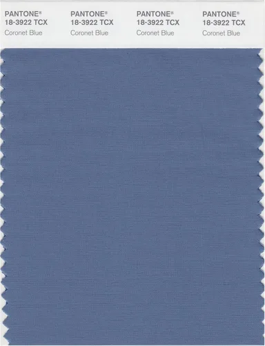 Vista 2 de PANTONE Smart 18-3945X - Tarjeta de muestra de color, color azul amparo