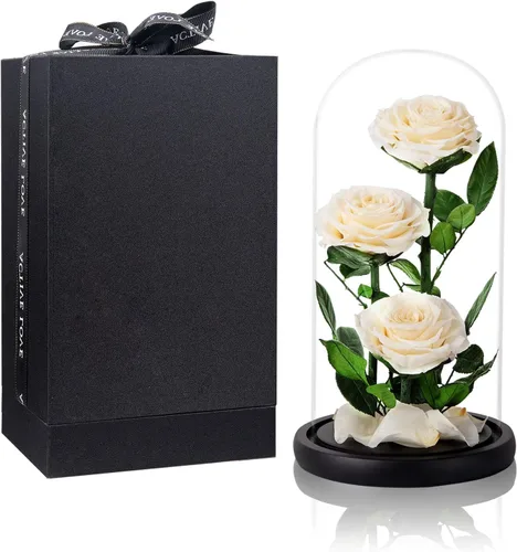Vista 5 de Rosas preservadas, rosas negras en cúpula de cristal, medianas, flores preservadas para el día de la madre, regalos para mujeres Negro