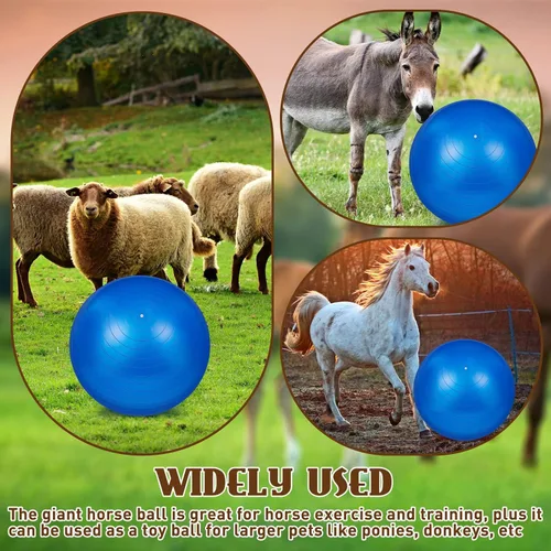 Vista 6 de Sotiff 2 pelotas de caballo de 40 pulgadas para jugar, caballo grande, equino, pastoreo, antiestallido, pelota de fútbol gigante para perro, bomba