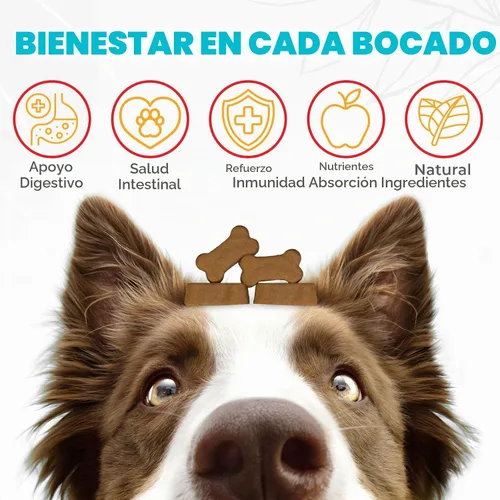 Vista 2 de Probióticos masticables para perros, 150 unidades, masticables probióticos para perros con enzimas e ingredientes naturales, apoyo para la salud