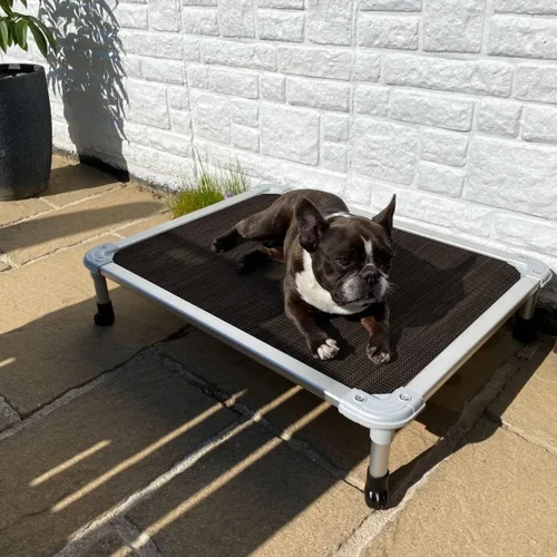Vista 65 de Veehoo Cama elevada para perros a prueba de mordidas - Cuna elevada refrescante para mascotas - Marco de aluminio plateado y tela de malla