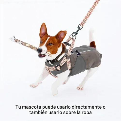 Vista 7 de BEAUTYZOO Juego de arnés y correa para perro, arnés ajustable para cachorros, chaleco de nailon suave a prueba de escapes con doble anillo en D