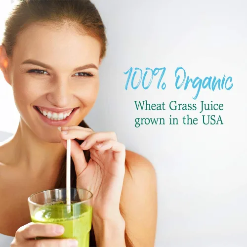 Vista 2 de Garden of Life Raw 100% orgánico Perfect Food Jugo de hierba de trigo de Estados Unidos – Superalimento en polvo verde, 60 porciones – sin stevia
