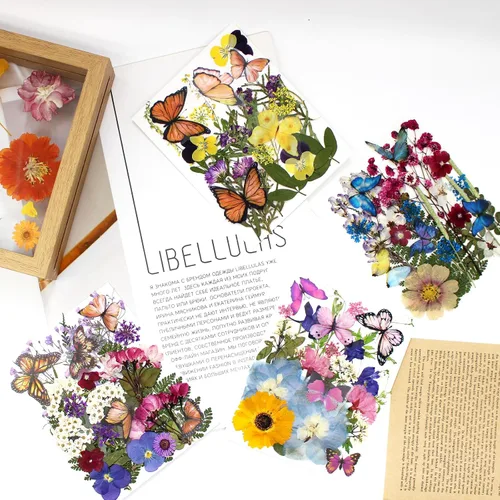 Vista 3 de 99 piezas de flores prensadas y mariposas para moldes de resina, hojas de flores naturales assortidas para pegatinas de arte DIY, manualidades