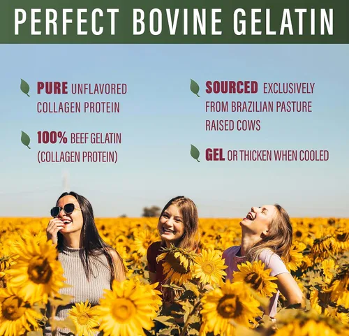 Vista 5 de Perfect Supplements – Gelatina Bovina Perfecta – 660 Gramos – 100% Proteína de Colágeno de Gelatina de Carne – Apoya la Salud de la Piel