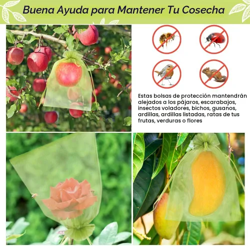 Vista 5 de 100 piezas de bolsas de protección de frutas 15x23 cm, bolsas de cobertura de malla verde con cordón, protectores de frutas de malla, barrera contra