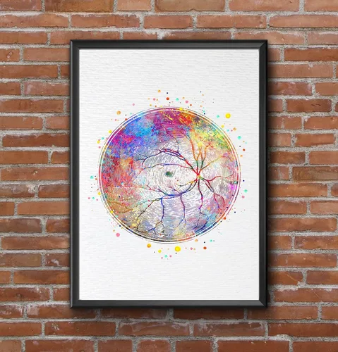 Vista 8 de Dignovel Studios 8 x 10 sin marco Retinal Vesselsery ojo humano Anatomía Optometrista Oftalmología médica vasos sanguíneos Clínica pared acuarela