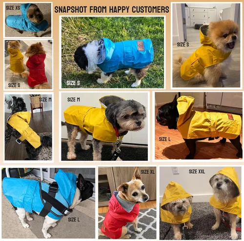 Vista 5 de Impermeable para perros pequeños, chaqueta impermeable con capucha, poncho impermeable para mascotas, traje de lluvia de doble capa para cachorros
