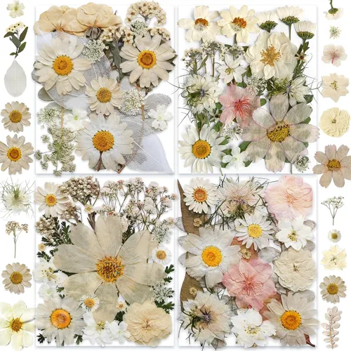 Vista 8 de 150 piezas de flores azules secas prensadas con pegatinas de mariposas - Juego de flores naturales reales de YouthBro para manualidades de resina
