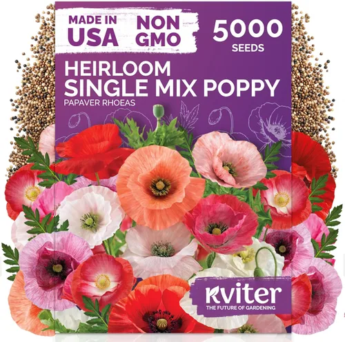 Vista 28 de KVITER 15,000 semillas de rosa musgo mixta para plantar (Portulaca grandiflora) – Cubierta de suelo con floración de reliquia, semilla de Portulaca
