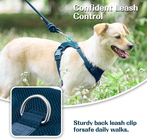 Vista 2 de Arnés sin tirones para perros pequeños, medianos y grandes, chaleco de malla ajustable de 2 capas con doble clip, a prueba de escapes, liberación