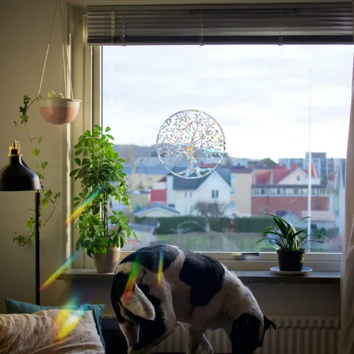 Vista 4 de Calcomanías de ventana anticolisión de arco iris de árbol para golpes de pájaros, 12 piezas Prism - Adhesivos de vinilo no adhesivos para ventana