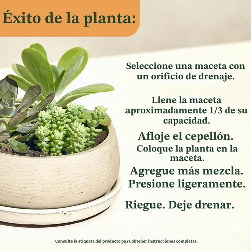 Vista 6 de Miracle-Gro Mezcla para macetas de interior para cactus y suculentas, 8 cuartos de galón (paquete de 2) Mezcla para macetas de cactus y suculentas
