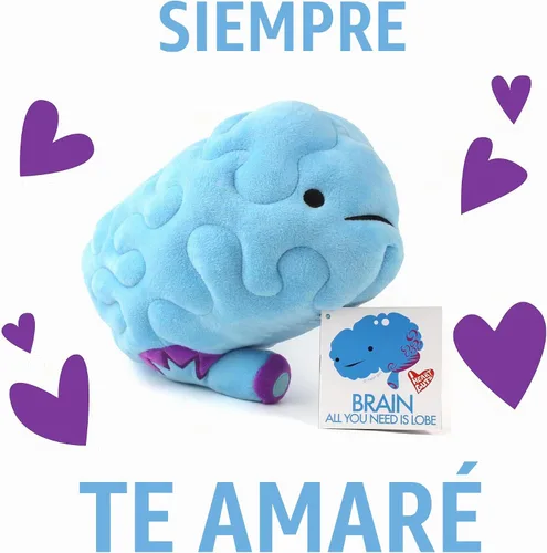 Vista 6 de Peluche de cerebro– ¡All You Need Is Lobe! - Serie I Heart Guts.