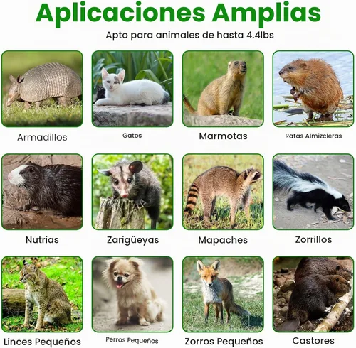 Vista 4 de Trampa de jaula para animales vivos de 23.3 x 7.2 x 7.7 pulgadas Trampas plegables de acero galvanizado para gatos callejeros, ardillas (<4.4 libras)