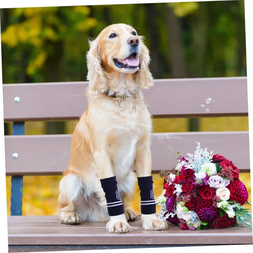 Vista 7 de Toyvian 4pcs codo de perro codo de punto abrigo calentador de piernas para higroma elástico mascota pierna protector pad