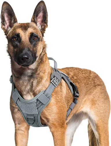 Vista 54 de rabbitgoo - Arnés para perros pequeño sin tirones, chaleco táctico de servicio con Molle y asa de control, arnés militar ajustable y reflectante