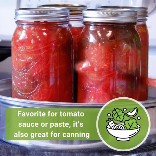 Vista 6 de Sembrar semillas adecuadas: semillas de tomate Roma para plantar variedad heredada determinada Popular non-GMO plum tomatoes for planting