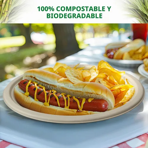 Vista 5 de Platos compostables, platos de papel desechables de alta resistencia - [125 unidades] de 9 pulgadas, biodegradables sin blanquear, hechos de bagazo
