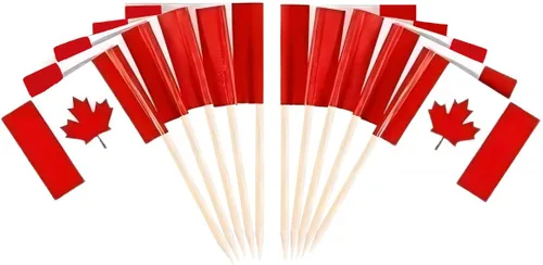 Vista 27 de JAVD CYPS - 100 banderas argentinas con palillos de dientes, mini palillo para cupcakes, banderas argentinas, decoración de fiesta, celebración