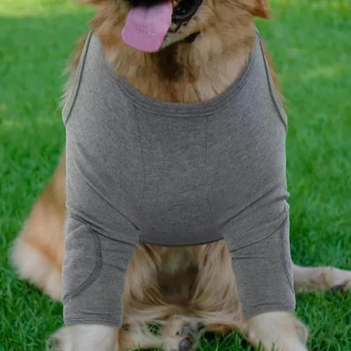 Vista 3 de Dog Anti-Lick Wounds Sleeves Anti Licking Front Leg Protection Sleeve Brace Front Leg Protection Tool Simple Design for Small Large Dogs
