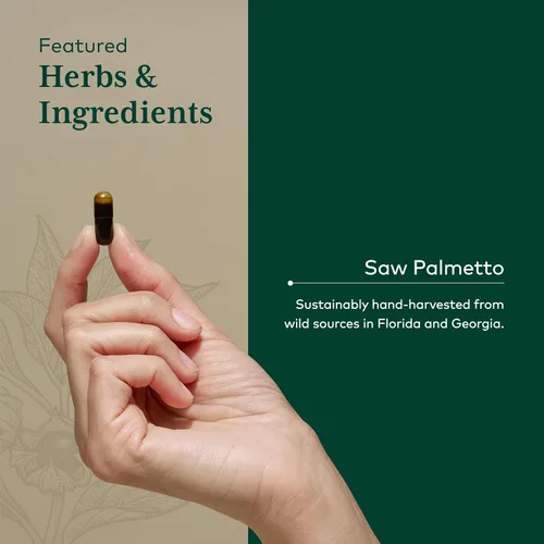 Vista 4 de GAIA HERBS PRO Saw Palmetto PRO - Suplemento saludable de apoyo para la glándula prostática* - Suplemento de hierbas con palma enana americana