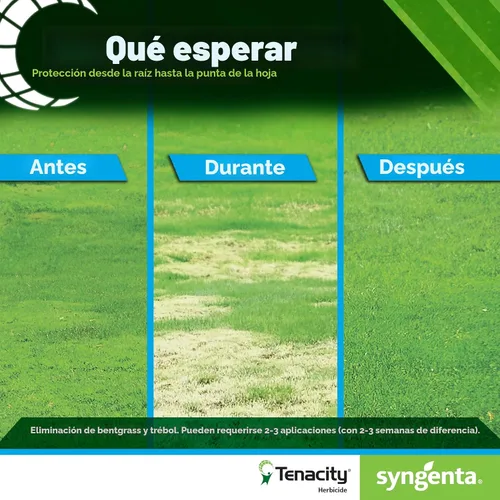 Vista 7 de tenacidad Césped Herbicida – 8 onzas