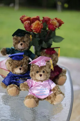 Vista 5 de Plushland Peluche de animal, juguetes de 12 pulgadas, regalo para el día de graduación, lo mejor para cualquier graduado de escuela, 12 pulgadas