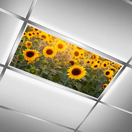 Vista 15 de Inserto de Cubierta de Luz de Techo Suspendido 4' x 2' pies (Naturaleza Bosque Hojas de Bambú Sol Verde) - Cubierta de Luz Fluorescente Reduce