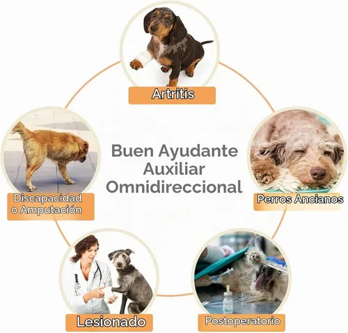 Vista 6 de ROZKITCH Arnés de elevación para perros, ayuda de soporte trasero para mascotas, aprobado por veterinarios, para ayuda de edad avanzada con poca