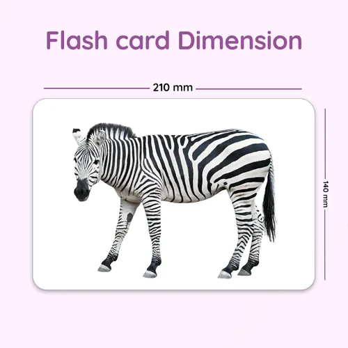 Vista 5 de Hungry Brain Tarjetas didácticas de números para niños pequeños de 1 mes a 6 años Tarjetas de aprendizaje de números Montessori para niños