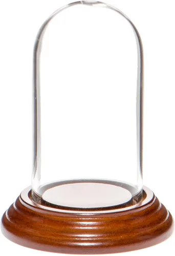 Vista 6 de Plymor Mini cúpula de cristal de 1.85 x 3.5 pulgadas (base de madera MDF negra)