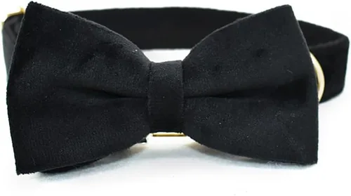 Vista 2 de Love Dream Collar de perro Bowtie de terciopelo, con hebilla de metal desmontable, suave, cómodo, ajustable, para perros pequeños, medianos