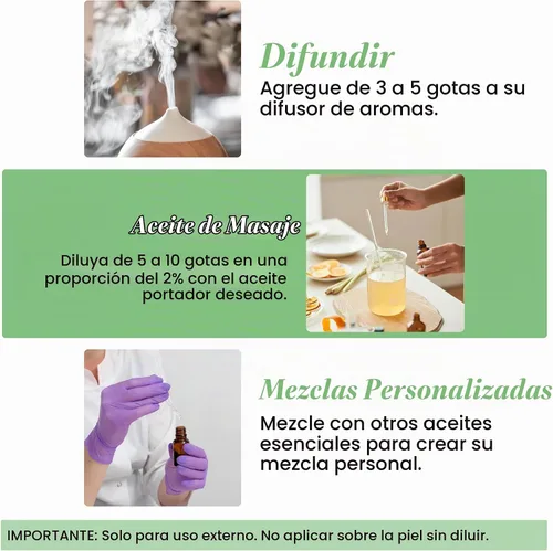 Vista 6 de Handcraft Blends Aceite Esencial de Albahaca – 1 Fl Oz – 100% Puro y Natural – Aceite Esencial de Grado Premium para Difusor y Aromaterapia, Piel