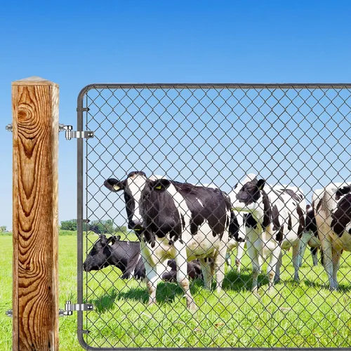 Vista 2 de Insaga Bisagra de puerta de perno en J, bisagras de puerta de granja de acero inoxidable 304, perno de bisagra de puerta M12 x 10 pulgadas, perno