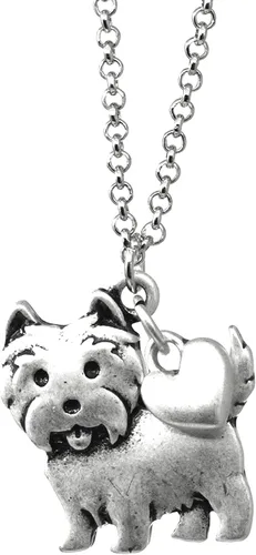 Vista 13 de Collar de raza de perro Grupo A