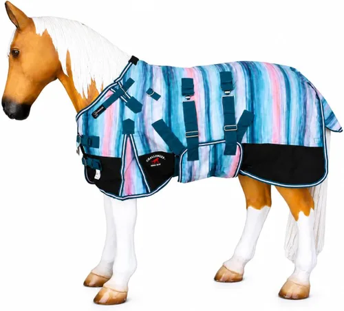 Vista 9 de CHALLENGER 1200D Foal Winter Blanket Miniature Pony Donkey Bellyband Turquoise Rustic Púrpura Rosa Ombre