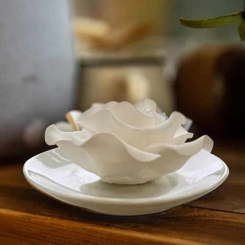 Vista 5 de Difusor Pasivo para Aceite Esencial - Difusor Cerámico Sin Electricidad para Aceites Esenciales para Habitación Pequeña, Mini Escritorio, Decorativo