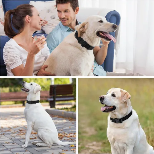 Vista 2 de Collar Táctico de Servicio Pesado para Perro Ajustable de Nailon para Mascotas Hebilla de Liberación Rápida con 2 Anillos en D con Parche para Negro