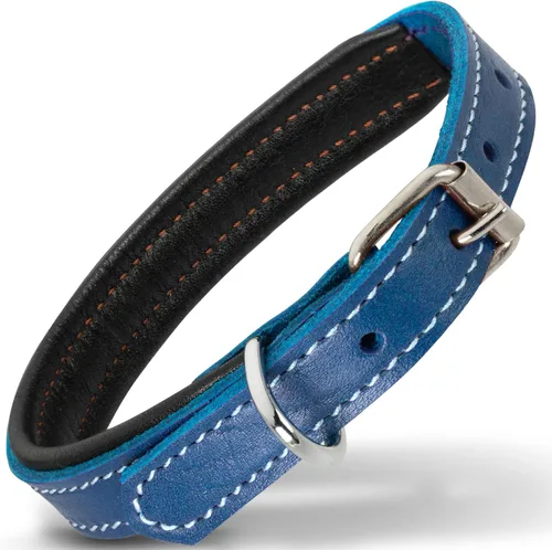 Vista 17 de Filbert Collar de cuero para perro, collar de cuero genuino para perros pequeños, acolchado de lujo, fuerte, ajustable para todas las razas, hebilla
